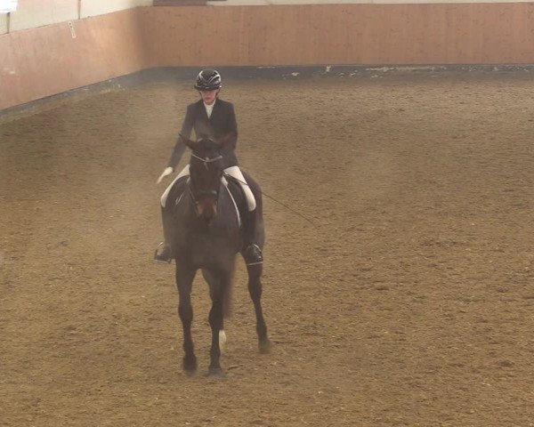 Reitturnier Datteln 2022