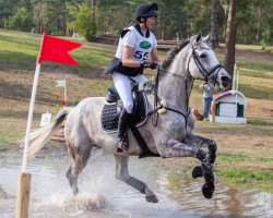 jumper Contenance 24 (Oldenburg show jumper, 2012, from Coupe d`Or)