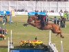 jumper Chalou (Oldenburg show jumper, 2009, from Chacco-Blue)