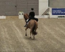 dressage horse Weltrubin 5 (Hanoverian, 2000, from Weltregent H)