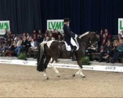 dressage horse Florida Queen (Westphalian, 2001, from Florestan I)