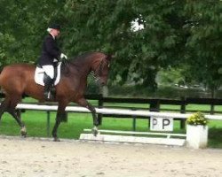 dressage horse Rapa Nui (Westphalian, 1998, from Rolls Royce)