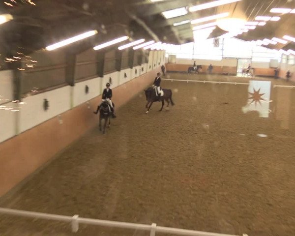 Reitturnier Datteln 2022