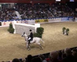 jumper Rubicon du Buisson (Belgium Sporthorse, 2001, from Mr. Blue)