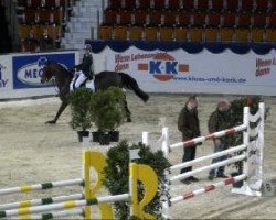 jumper Till Keney (KWPN (Royal Dutch Sporthorse), 2000, from Carthago)