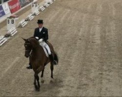 dressage horse Allerbeste 9 (Hanoverian, 2000, from Alabaster)