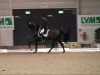 horse World Congress (Hanoverian, 1995, from Warkant)