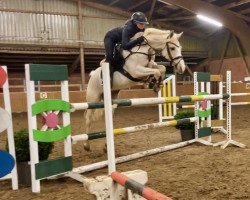 dressage horse Doctor Snuggles 4 (German Riding Pony, 2015, from Erfttal Duncan)