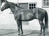 stallion Precipitation xx (Thoroughbred, 1933, from Hurry On xx)