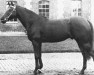 stallion Furioso xx (Thoroughbred, 1939, from Precipitation xx)