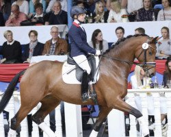 dressage horse Karabella (Oldenburg, 2014, from Zack)