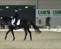 dressage horse Duisenberg's (Westphalian, 2003, from De Niro)