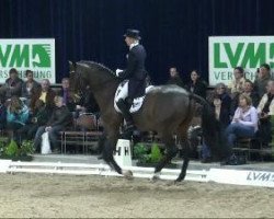 dressage horse Dante (Oldenburg, 2002, from Diamond Hit)