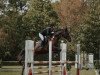 jumper Ramalco (German Sport Horse, 2008, from Rittersport)