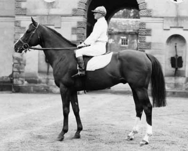 stallion Vilmoray xx (Thoroughbred, 1950, from Vilmorin xx)