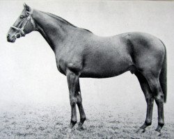 stallion Happy Landing xx (Thoroughbred, 1941, from Windsor Lad xx)