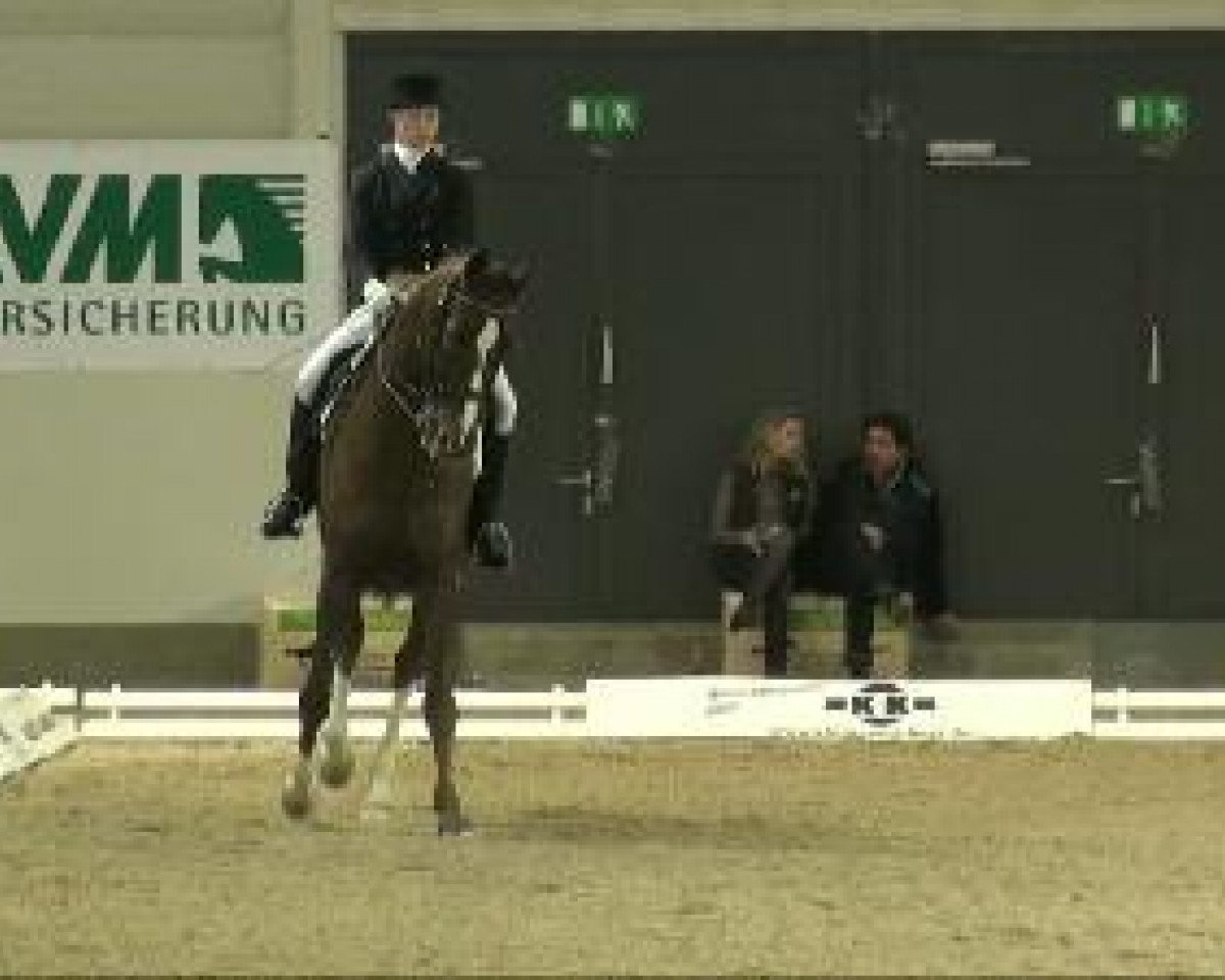 dressage horse Frederik W 2 (Oldenburg, 2002, from Fürst Heinrich)