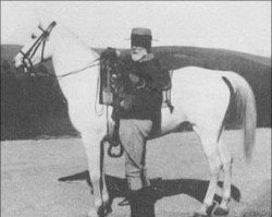 broodmare Mirza ox (Arabian thoroughbred, 1923, from Nejdran jr. ox)