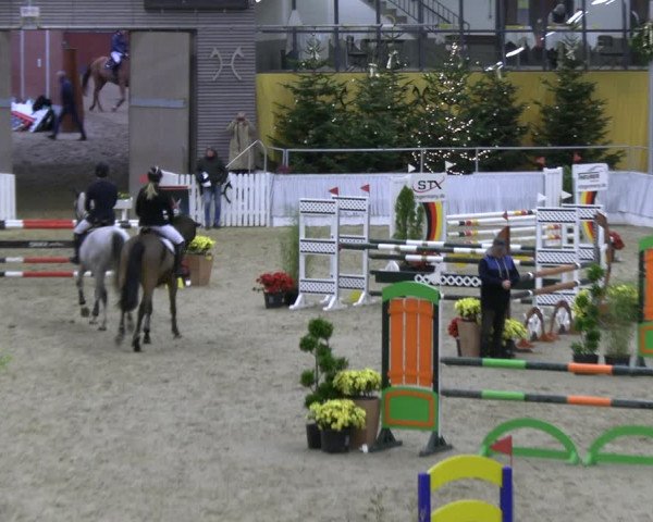 Reitturnier Verden 2022