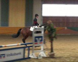 dressage horse Soneth (Westphalian, 2004, from Show Star)