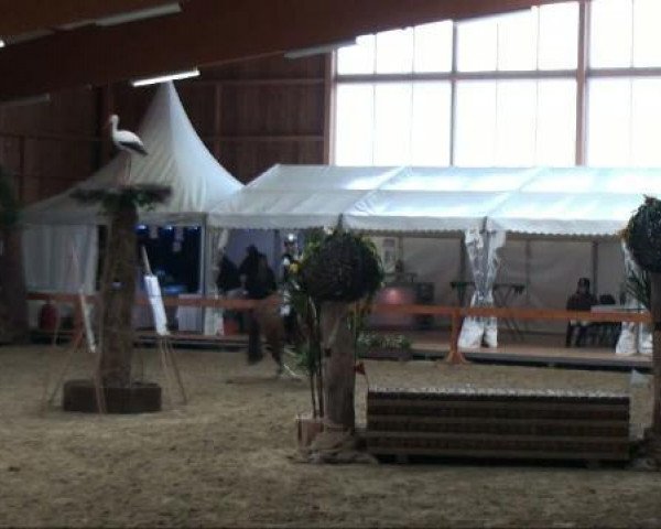 dressage horse Betty Barclay (Latvian Warmblood, 2003, from Bastejs)