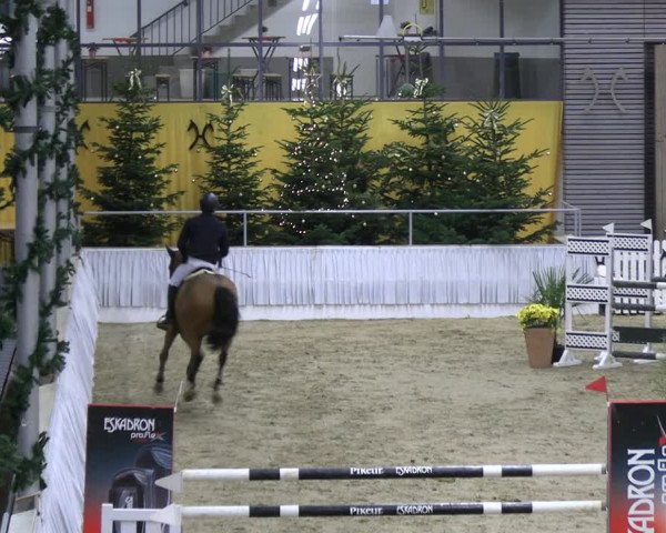 Reitturnier Verden 2022