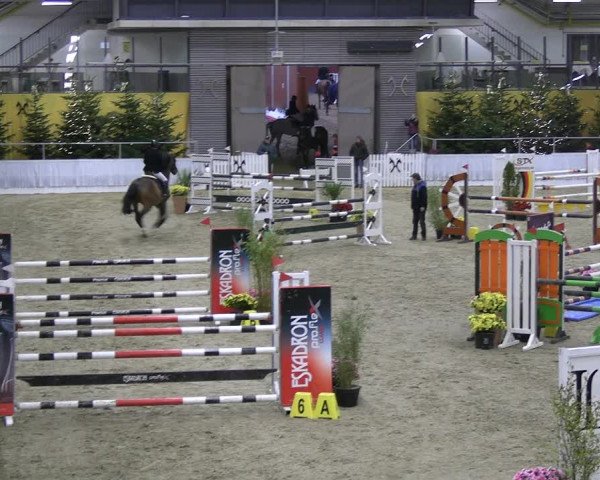 Reitturnier Verden 2022