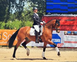 dressage horse Le désir du coeur (Oldenburg, 2014, from Landwind II)