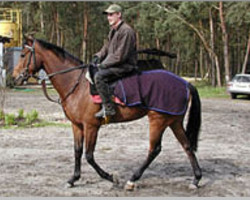 broodmare Pashmeena xx (Thoroughbred, 1998, from Barathea xx)