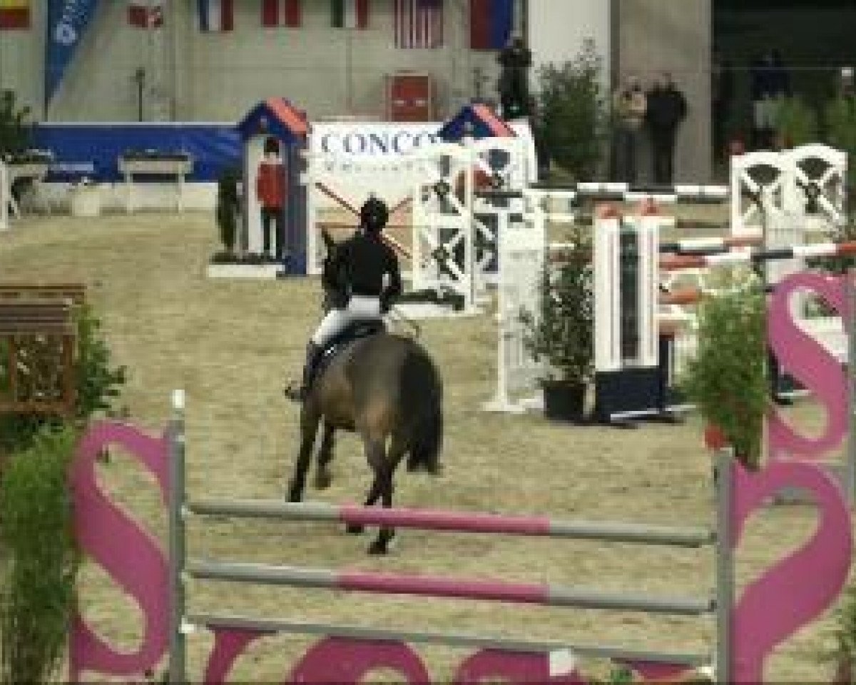 jumper Chester L (Bavarian, 2002, from Caretello B)