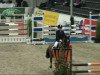 jumper Mambo Nu.Five (German Riding Pony, 2000, from Brooklands Moonwalker)