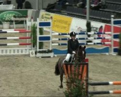 jumper Mambo Nu.Five (German Riding Pony, 2000, from Brooklands Moonwalker)