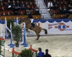 jumper Aip xx (Thoroughbred, 1999, from Kornado xx)