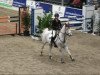 jumper Odin 110 (German Riding Pony, 1997, from Giglbergs Outsider)