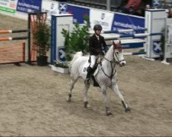 jumper Odin 110 (German Riding Pony, 1997, from Giglbergs Outsider)