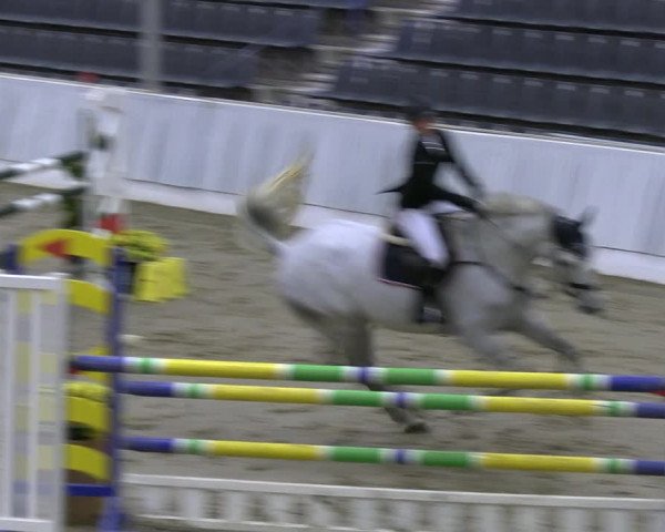 Reitturnier Verden 2022