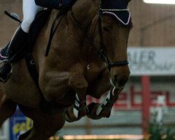 jumper Jacordina (KWPN (Royal Dutch Sporthorse), 2003, from Jacorde)