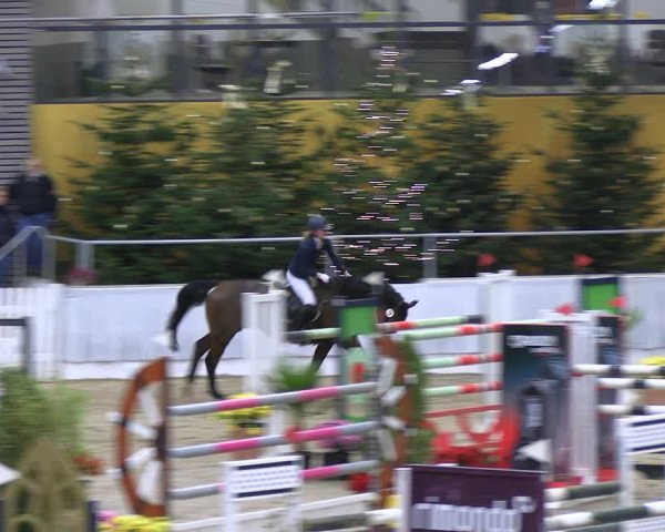Reitturnier Verden 2022