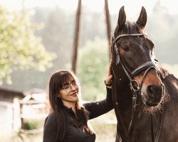 jumper Bacardi 20 (Hungarian Warmblood, 2003)