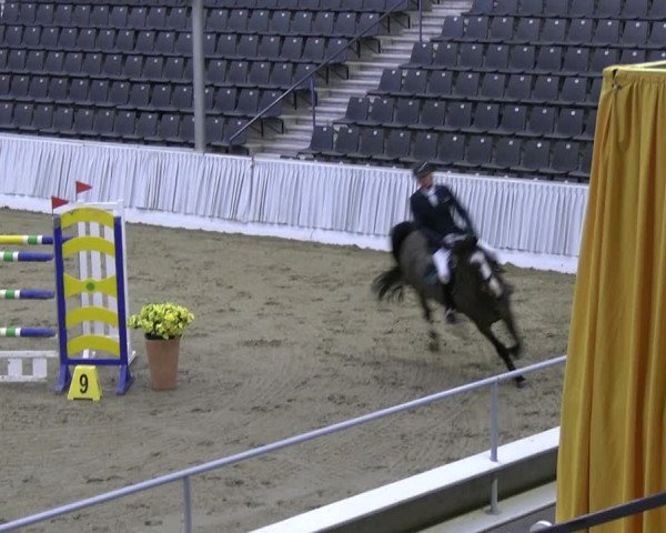 Reitturnier Verden 2022