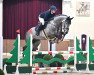 stallion Charly White BR (Oldenburg show jumper, 2018, from Cornet Obolensky)