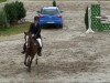 jumper Venito (German Riding Pony, 1987, from Vento)