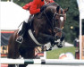 stallion Perpignon (Hanoverian, 1991, from Pilot)