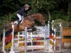 jumper Aiollos (German Warmblood, 2016, from Amiro Z)