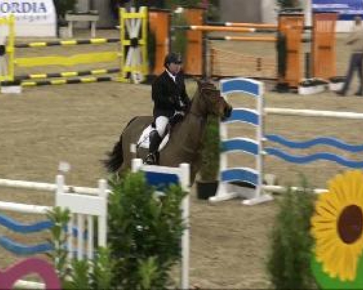 jumper Airplay 4 (Hanoverian, 1999, from Adlantus As FRH)