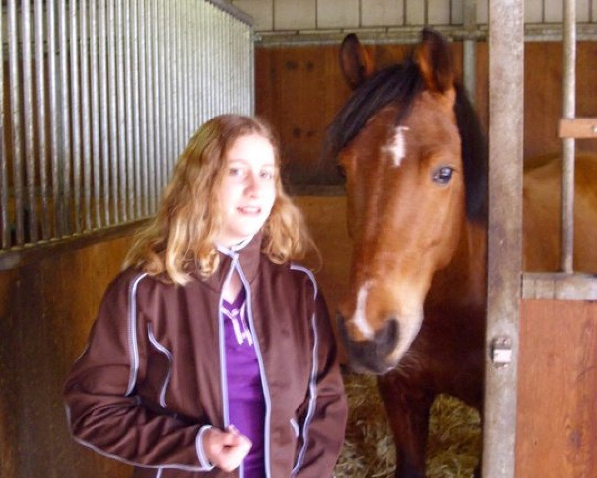 horse Ajax (Rhenish-German Cold-Blood, 2007, from Addax)