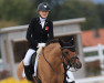 dressage horse Dear Principal (German Riding Pony, 2014, from Dimension AT NRW)