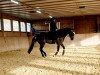 dressage horse Johanna Royal (Oldenburg, 2012, from Glock's Johnson Tn)