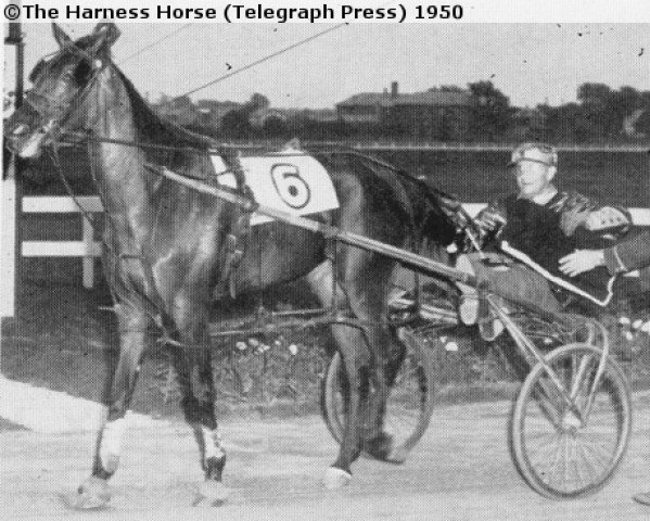 broodmare Jewel Rosecroft (US) (American Trotter, 1948, from Symbol Gantle 73964 (US))