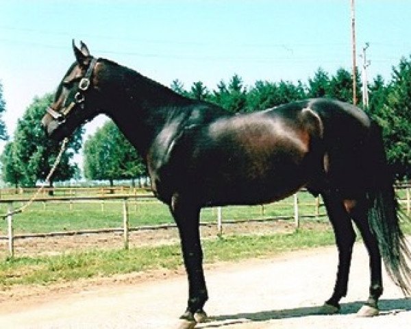 stallion Supergill 0341-D (US) (American Trotter, 1985, from Super Bowl 8540I (US))